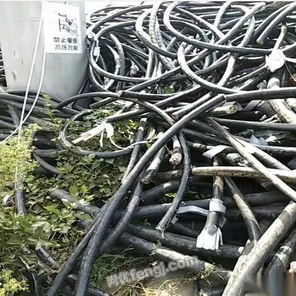免费上门评估